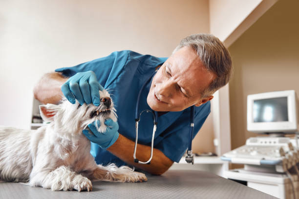 Best Emergency Broken Tooth Repair in Seward, AK